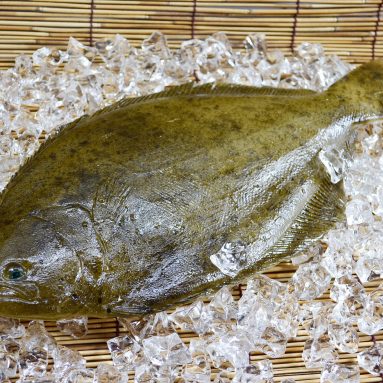 Flounder Fishing Tips And Tricks