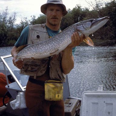 The Mean and Nasty Northern Pike