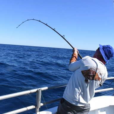 Saltwater Fishing